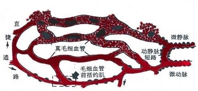 beat365|【精彩回顾】2019第三届中国危废产业创新发展高峰论坛完美落幕!(图3) beat365官网中文