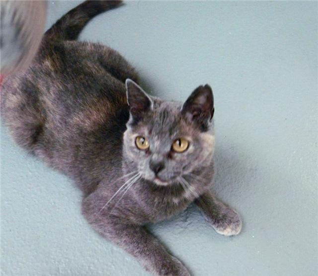 国务院常务会议决定对污染防治第三方企业减按15%税率征收所得税|beat365(图2) 国务院常务会议决定对污染防治第三方企业减按15%税率征收所得税|beat365(图2)