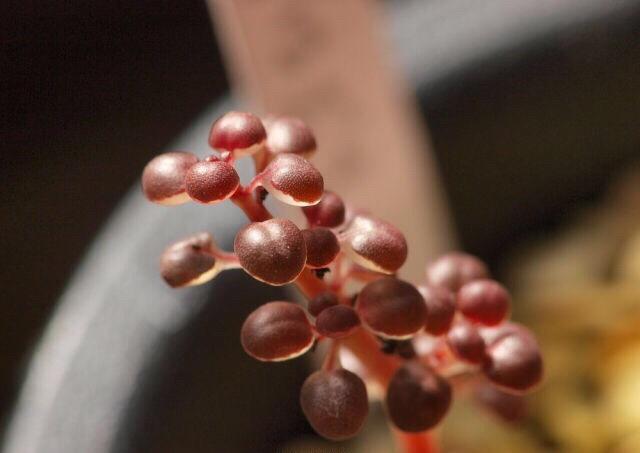 生态流量下泄不足，水电站也要吃罚单！：BEAT365