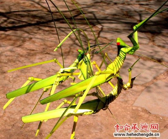 省级生态环保督察要注重设计构思|BEAT365